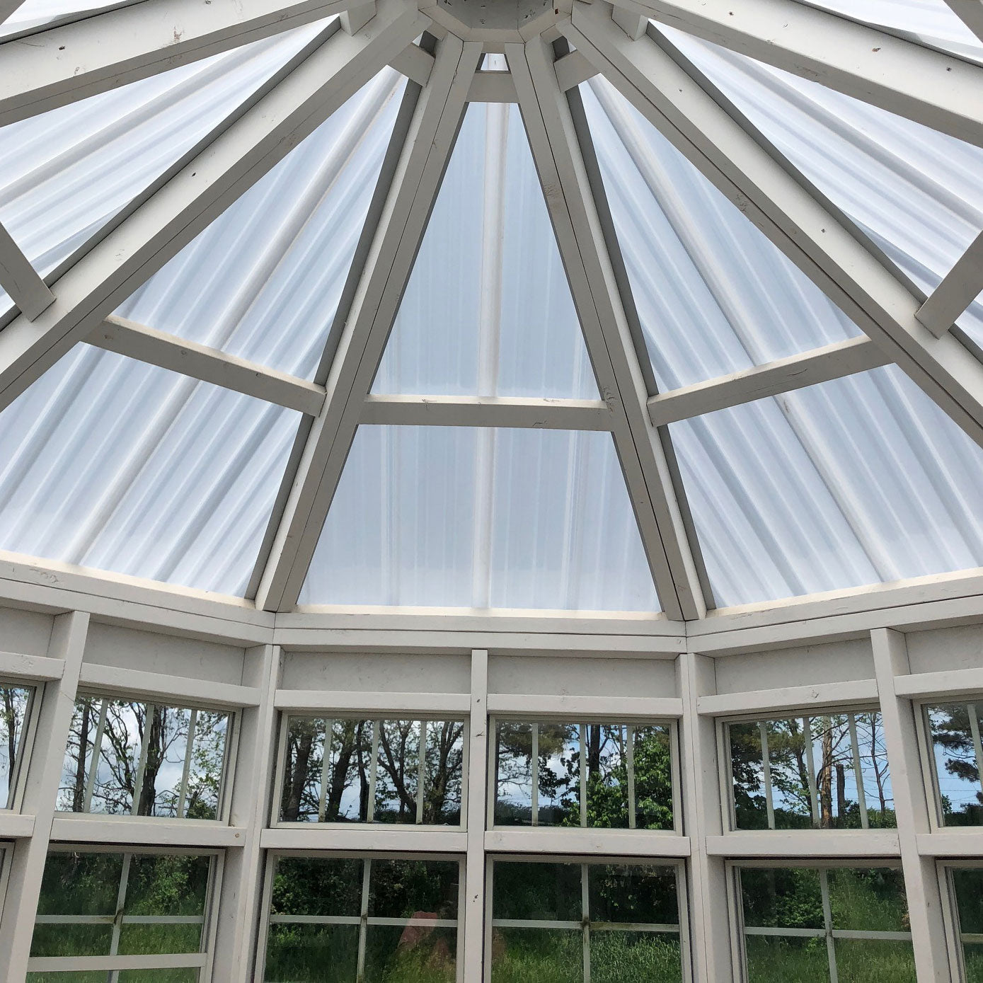 8x8 octagon greenhouse real life interior