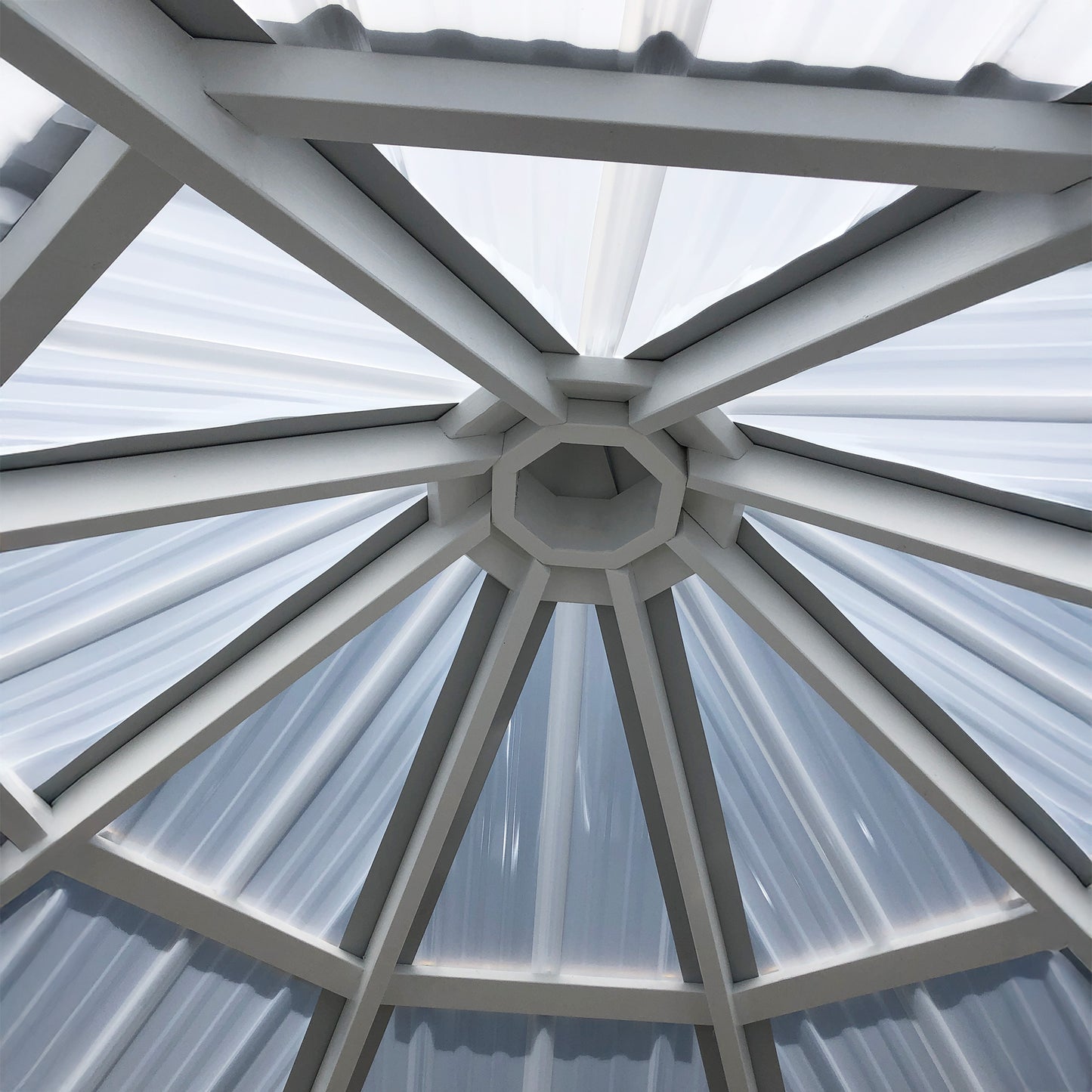8x8 octagon greenhouse real life interior