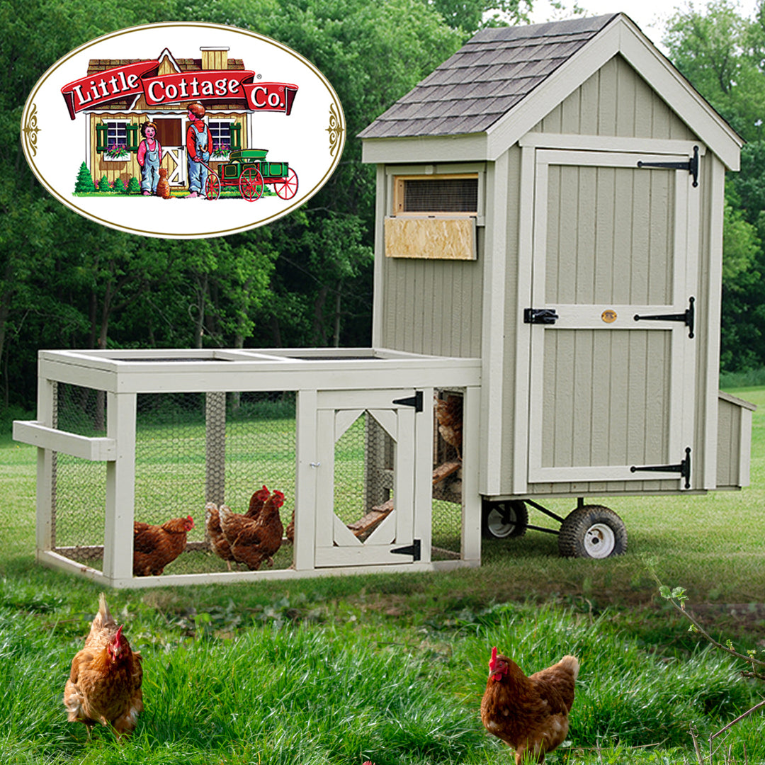 Colonial Gable Run Coop in backyard with chickens inside and in yard.