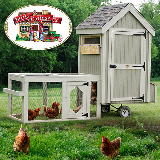 Colonial Gable Run Coop in backyard with chickens inside and in yard.