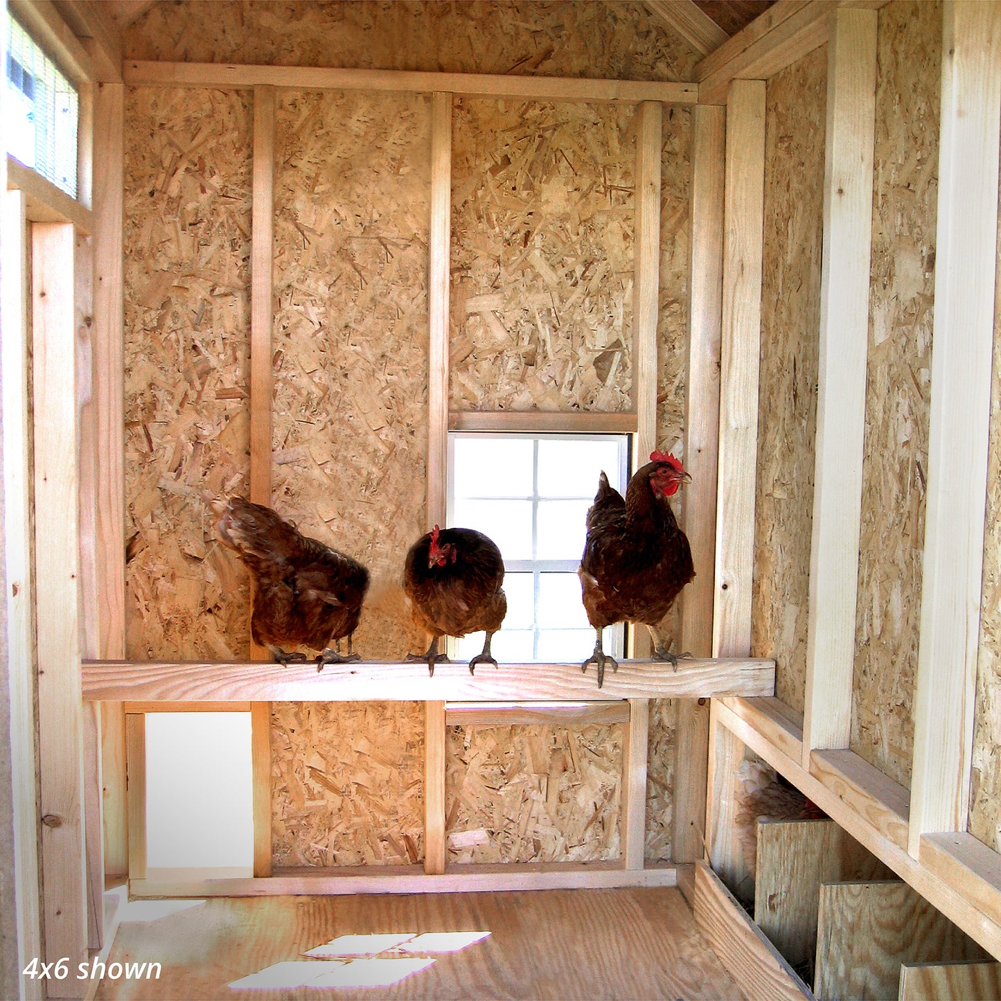 Colonial Gable Coop
