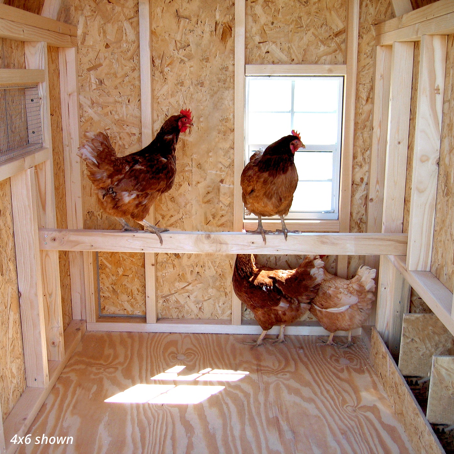 Gambrel Barn Coop