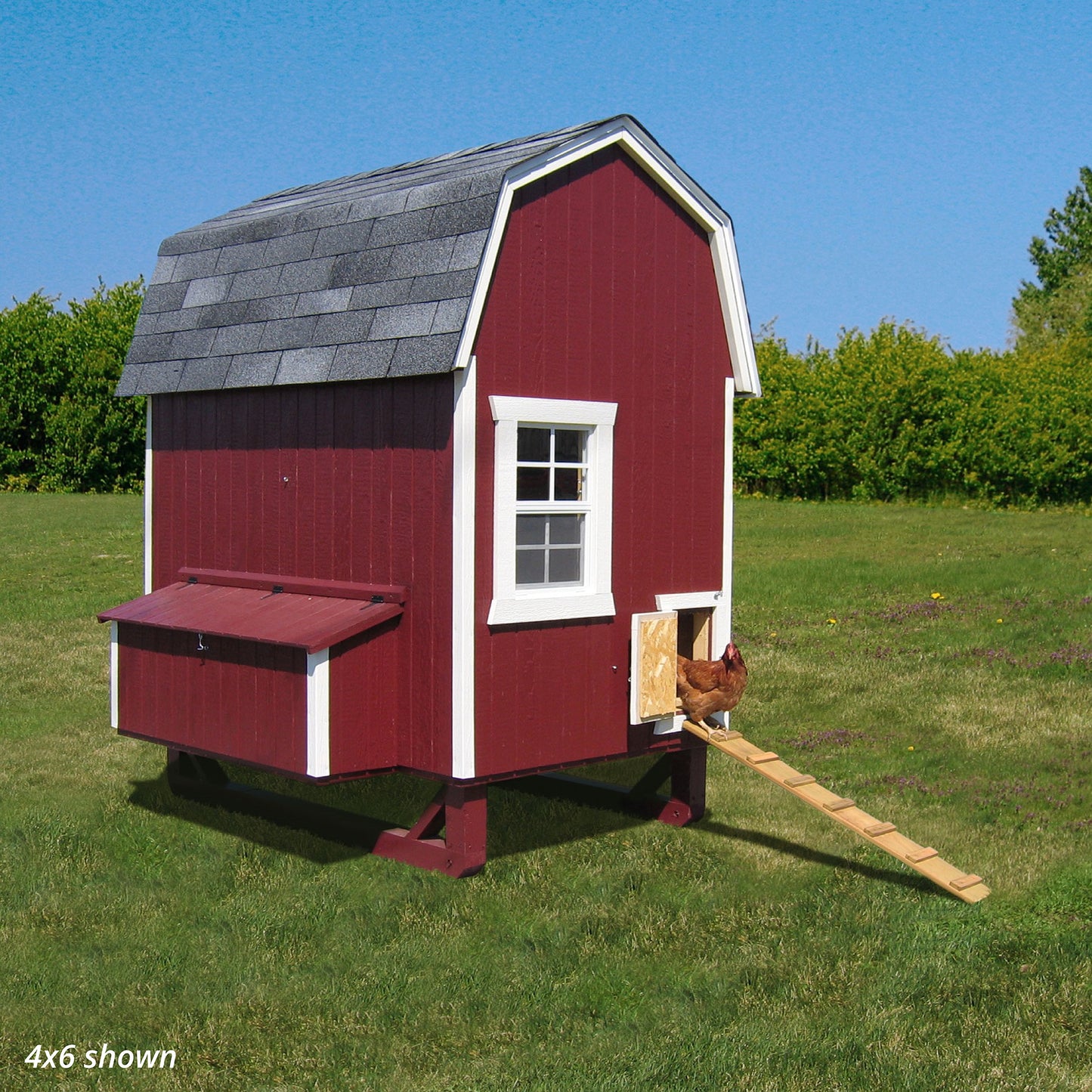 Gambrel Barn Coop