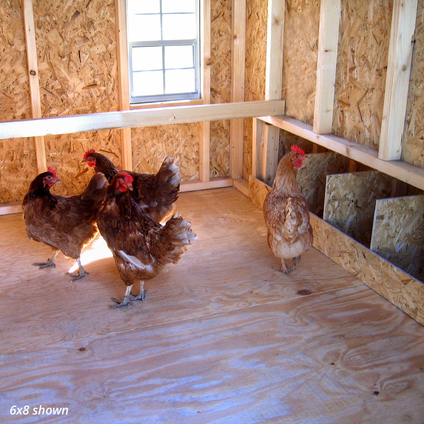 Colonial Gable Coop