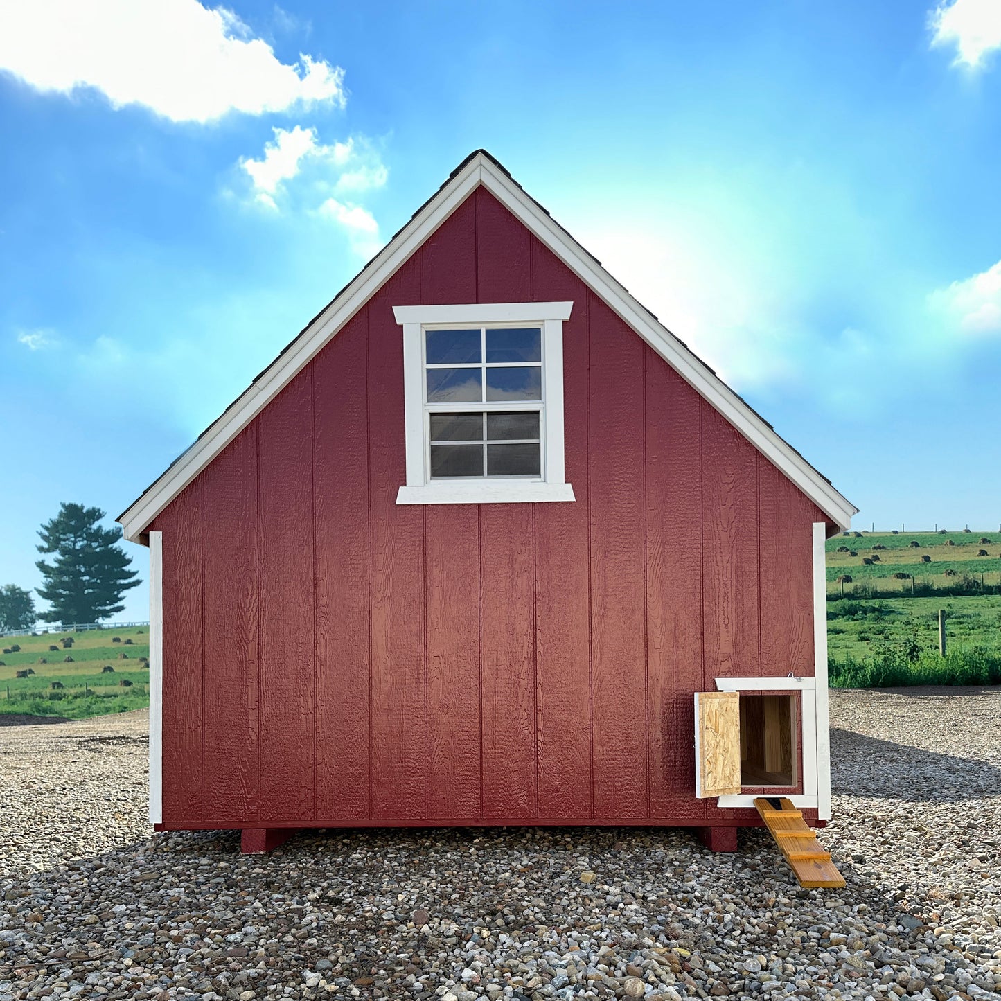 8x8 Value A-Frame Chicken Coop back view with chicken ramp