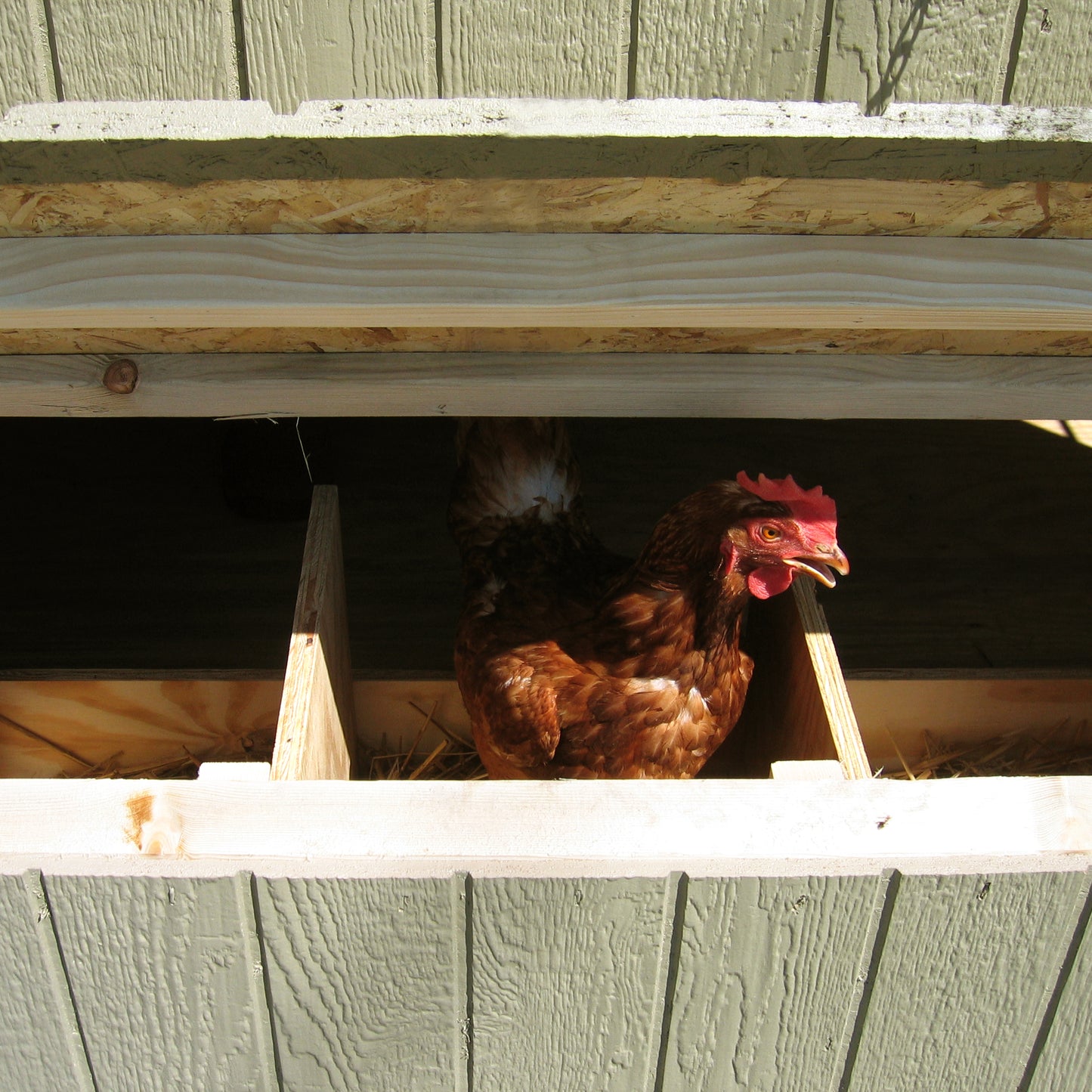 nesting boxes up close